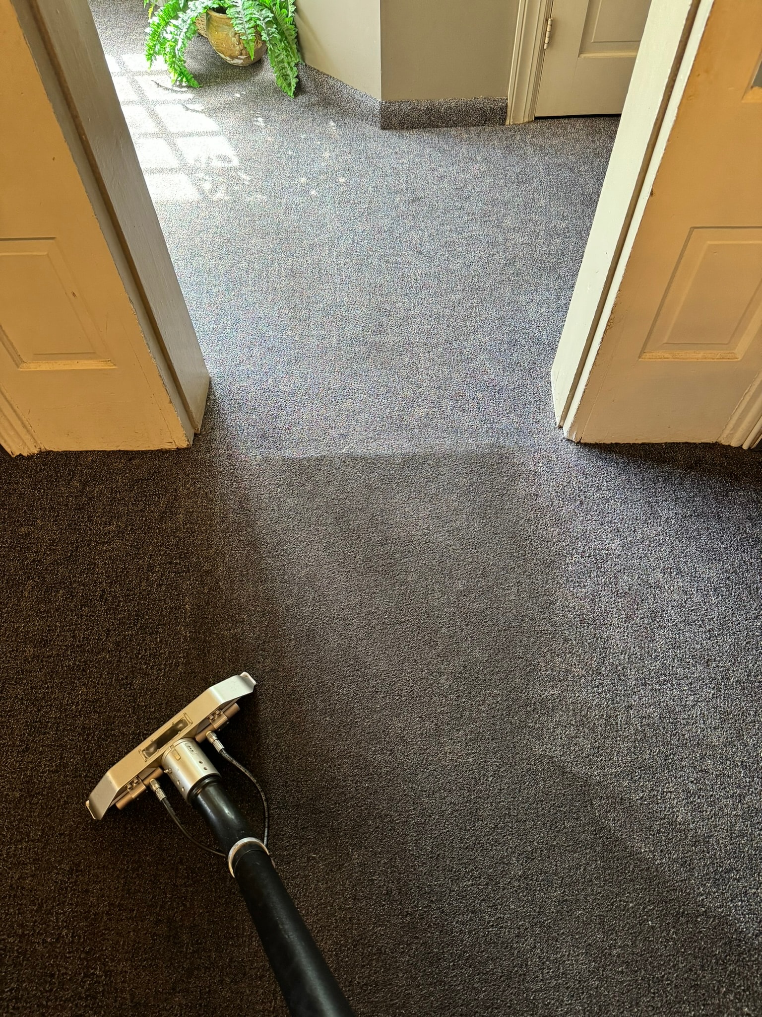 Extraction wand cleaning commercial carpet on a local job