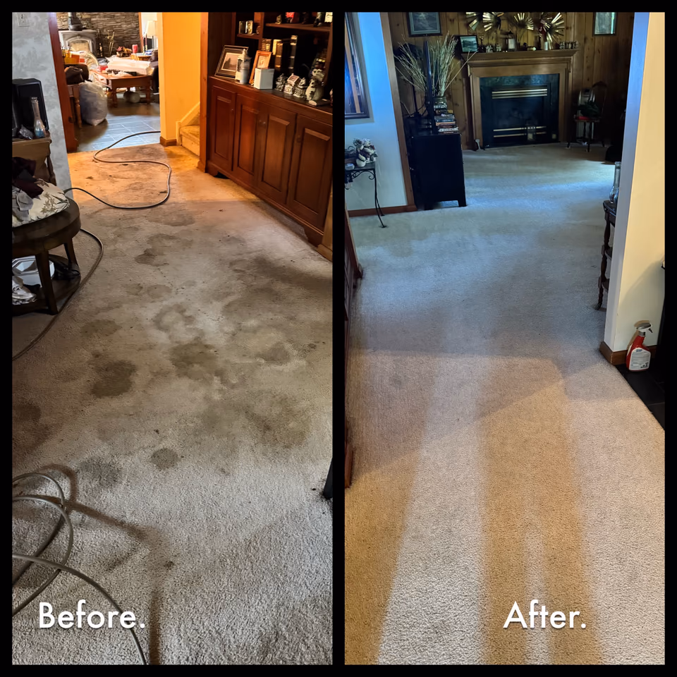 Before and after carpet cleaning results — Lehigh Valley PA