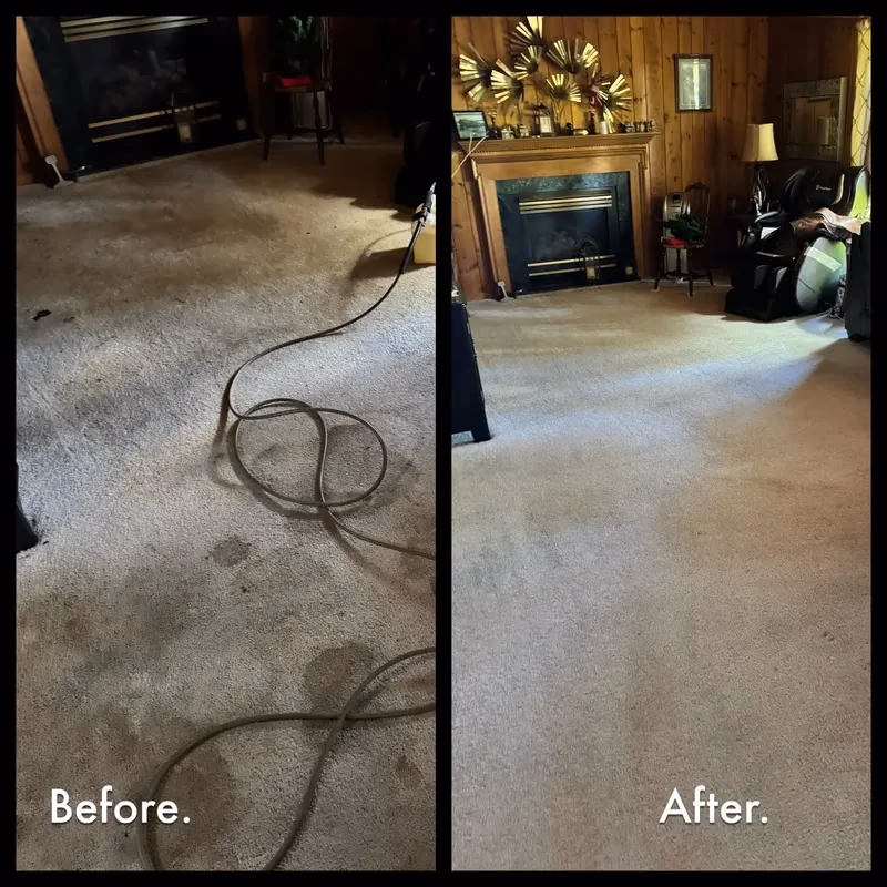 Before and after carpet cleaning — Bethlehem PA