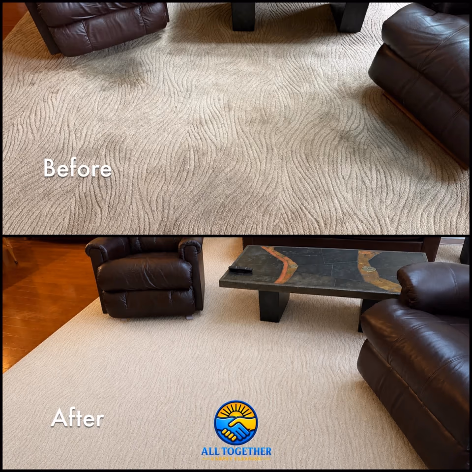 Patterned living-room carpet before and after professional cleaning — Lehigh Valley local job